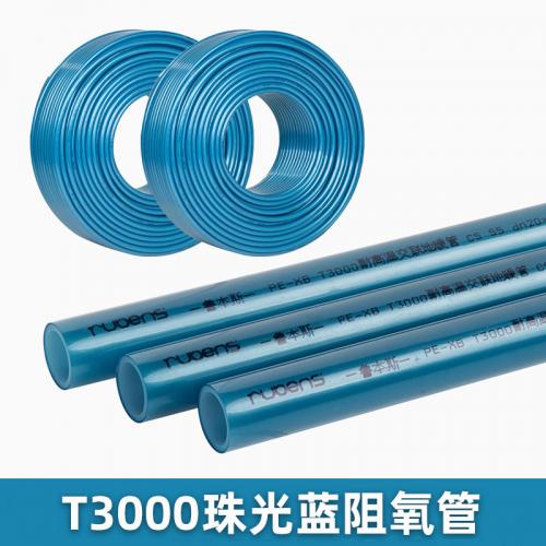 2021041510092335ebb3163